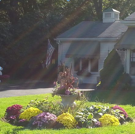 Front lawn centerpiece/plant arrangement-good eye!