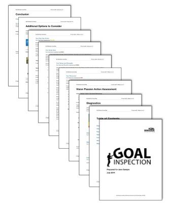 Goal Inspection Report