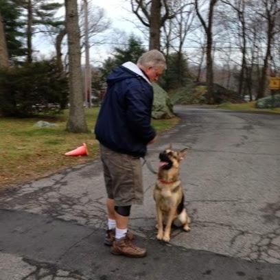 Liberty Pet Coach, Dog Training and Animal Reiki