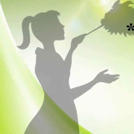 Bees Knees Cleaning - Amie