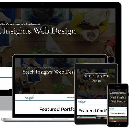 Steck Insights Web Design