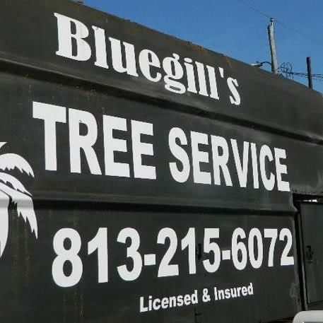 Bluegill's Tree Service, LLC