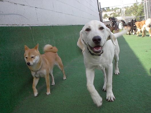 Best buds.