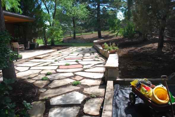 Flagstone jointed with soil for thyme to grow in b