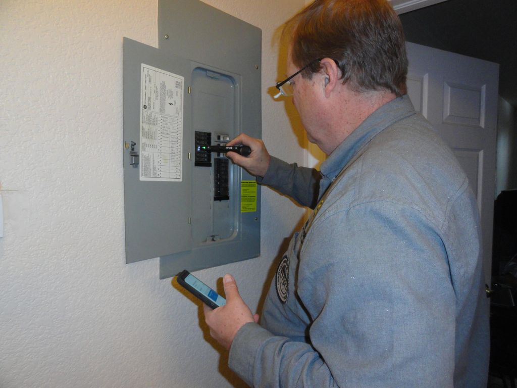 Service panel inspection