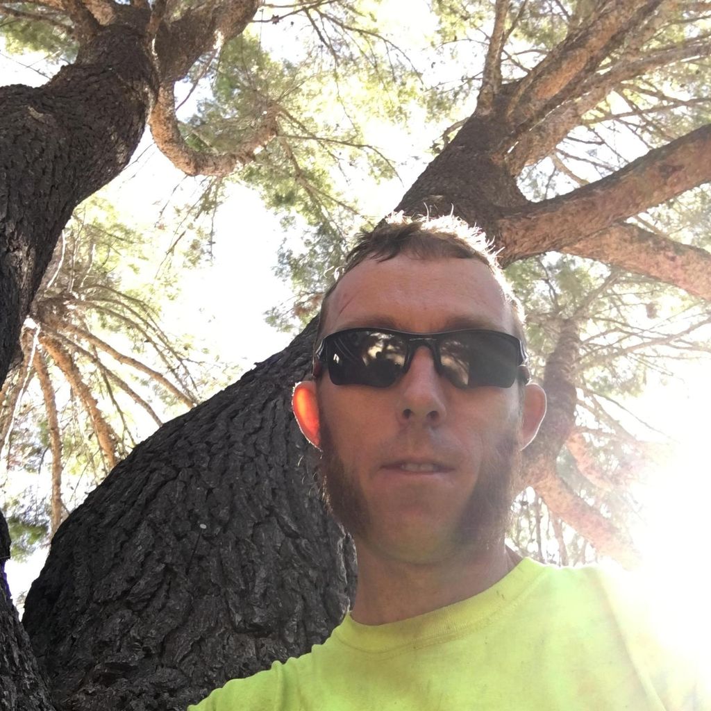 Respectable Arborist Solution