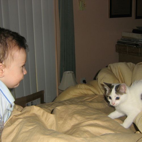my nephew and our cat, yang