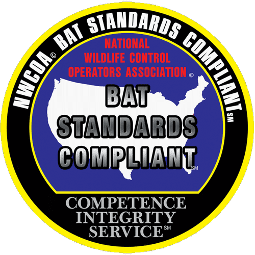 We are certified to seal your home to prevent bat 
