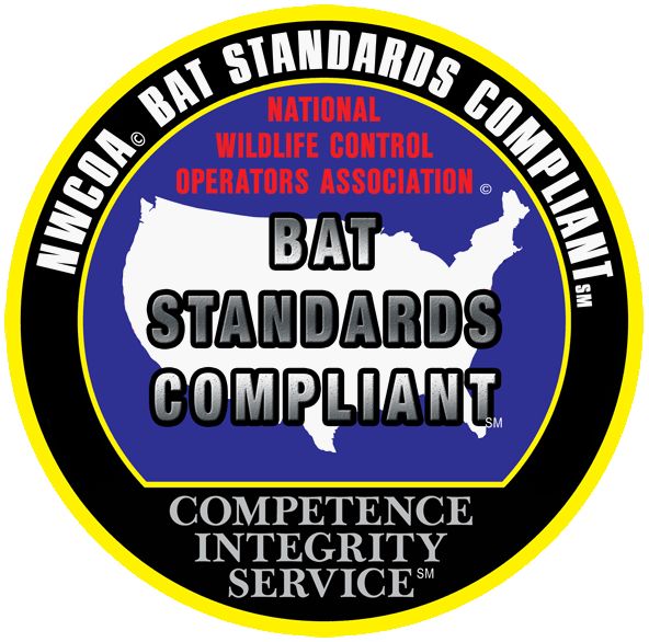 We are certified to seal your home to prevent bat 