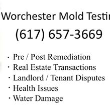 Worcester Mold Testing