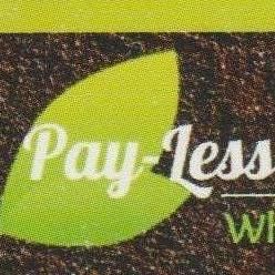 Payless tree service