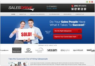 Website Designed for SalesDrive