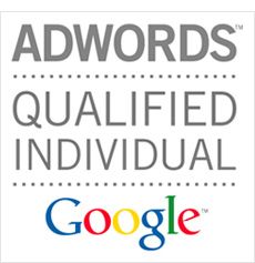 Work with an Adwords Professional to get better re
