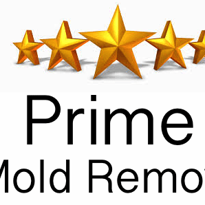 Avatar for Prime mold removal