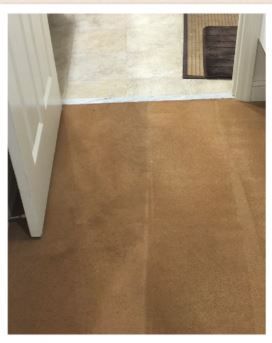 Carpet showing the difference with a cleaning trac