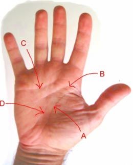 Hand Analysis