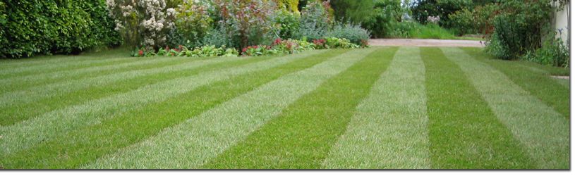 We like straight lines.