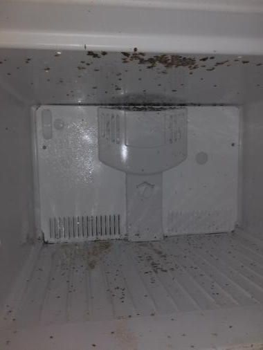 Refrigerator Before.