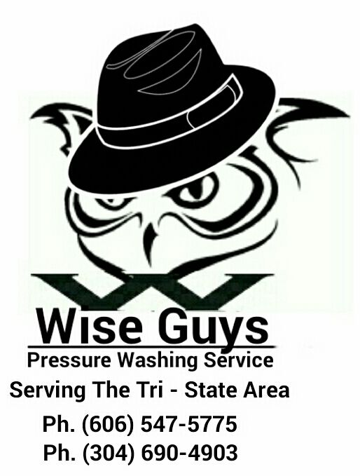 Wise Guys Cleaning Services