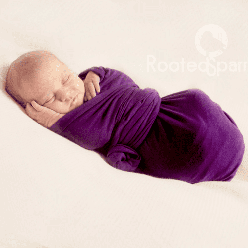 Newborn Studio Portrait Sessions // Copyright Root