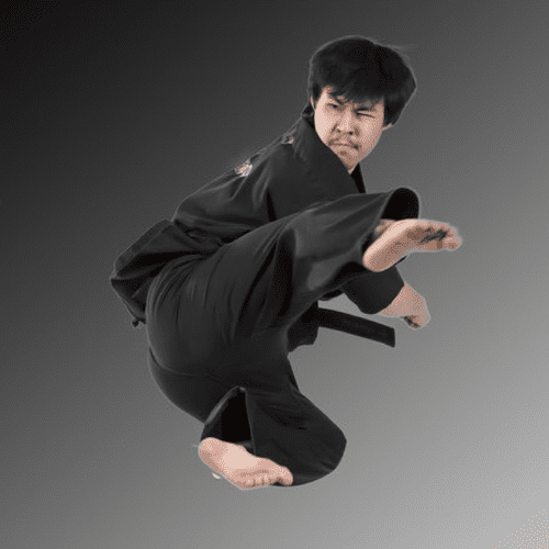 Sensei Ty teaches Adult / Youth Karate Program and