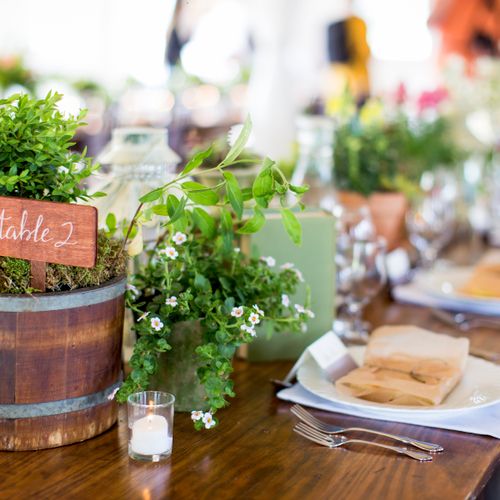 Styled Dinner at beautiful airy barn venue. Image 