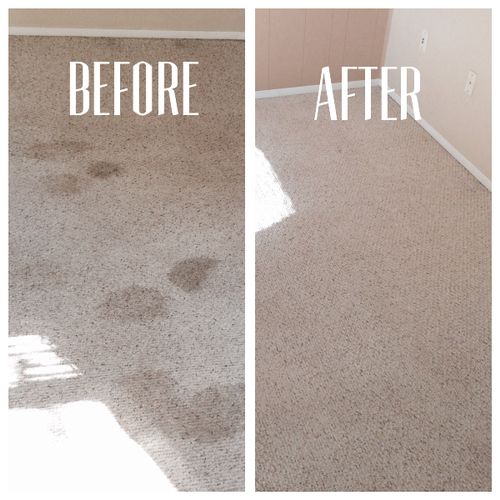 Book an appointment for a carpet cleaning today