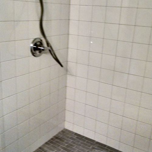 Handicap accessible tile shower.