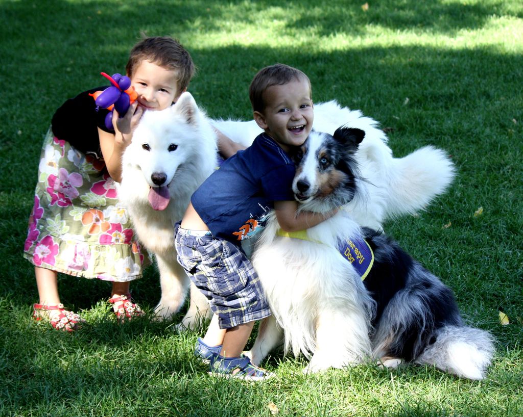 Our therapy dogs spreading joy!