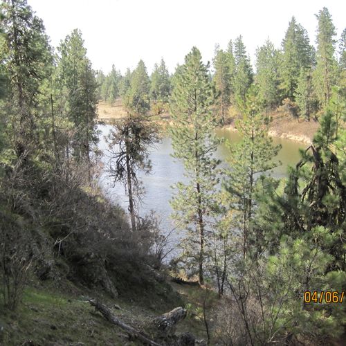 This 11+ Acre water frontage and mostly treed site
