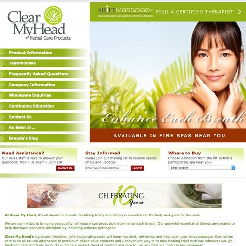 OmnISpear redesigned the existing site for a clean