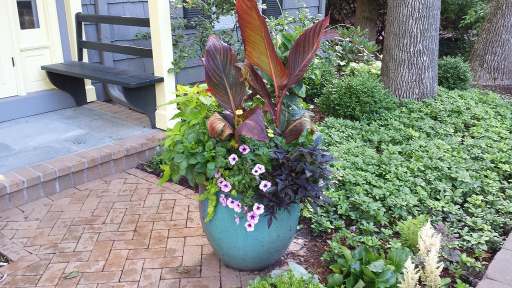 Seasonal Pots.  We pick them up, service and deliv