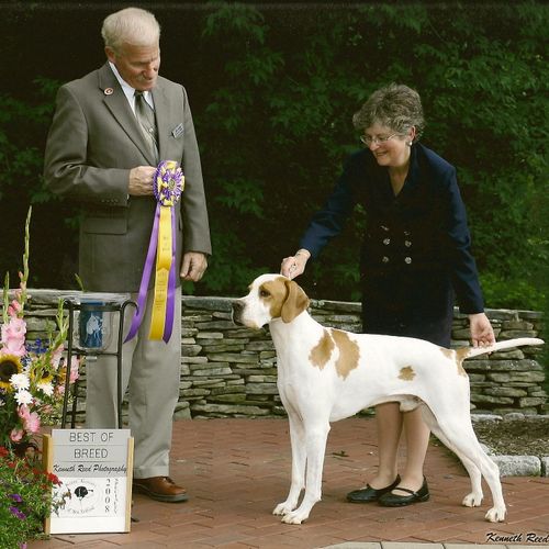 Breed Handling and How to Show Your Dog classes.