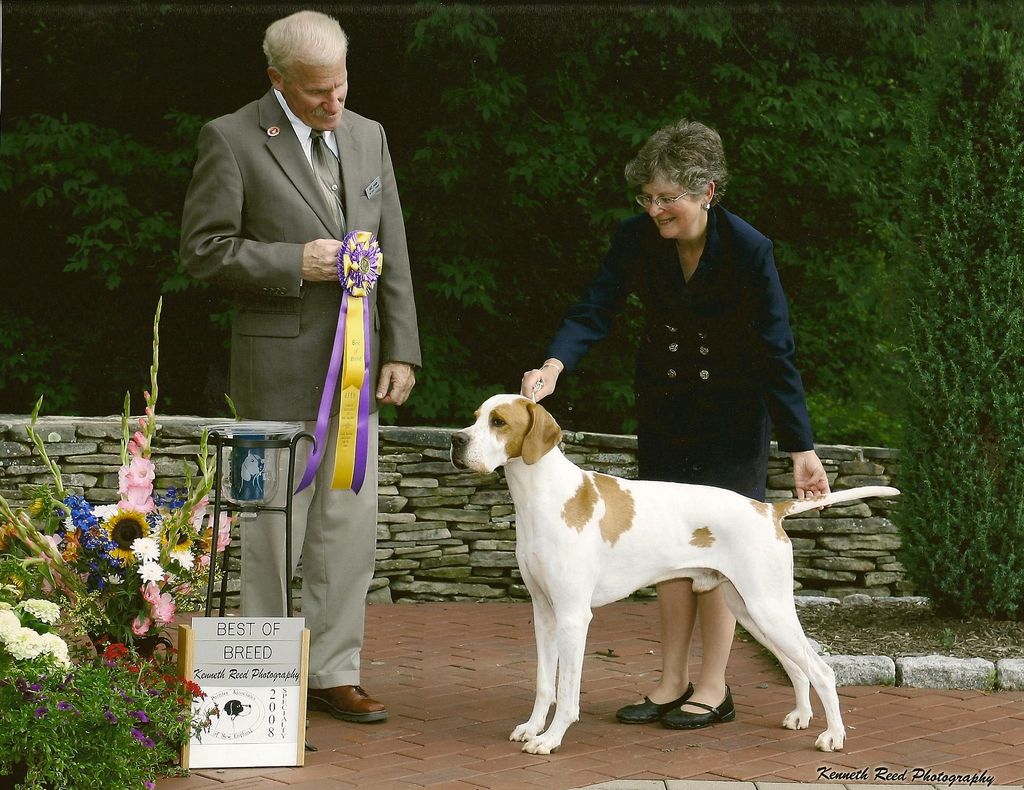 Breed Handling and How to Show Your Dog classes.