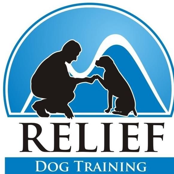 Relief Dog Training