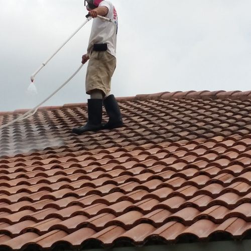 Safe Chemical, no pressure roof cleaning process.