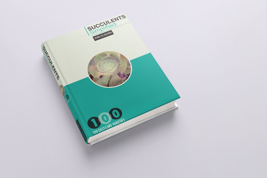 Book design for Succulents Simplified.