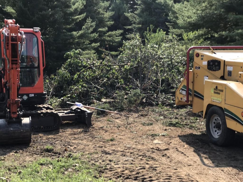 Trees taken down and chipped from the fire, then s