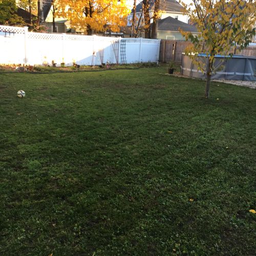 Fall clean up, leaf clean up and lawn care