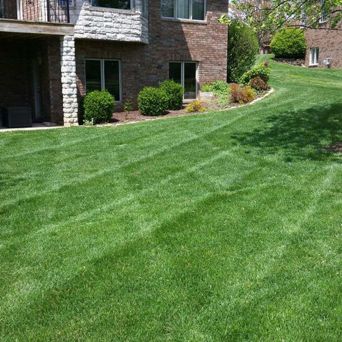 Mowing, Residential