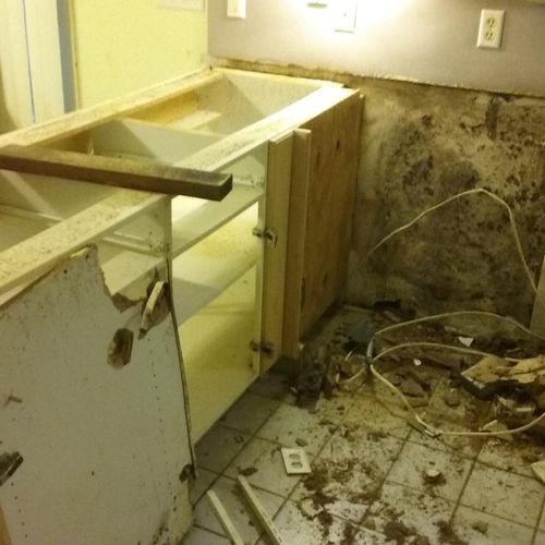 Water Damage/Mold