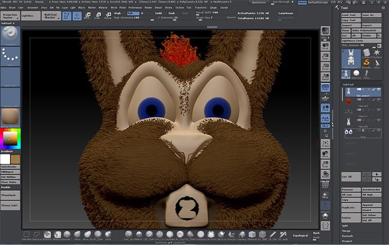 Projects and media