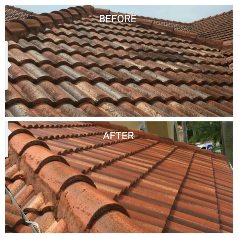 Roof tiles soft washed and nano coated. 10 years o