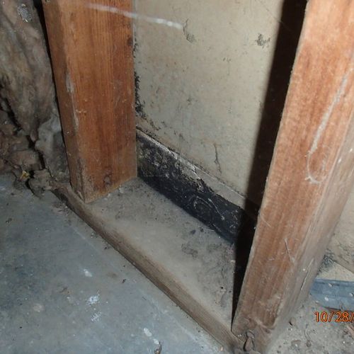 Mold growing behind a staircase.
