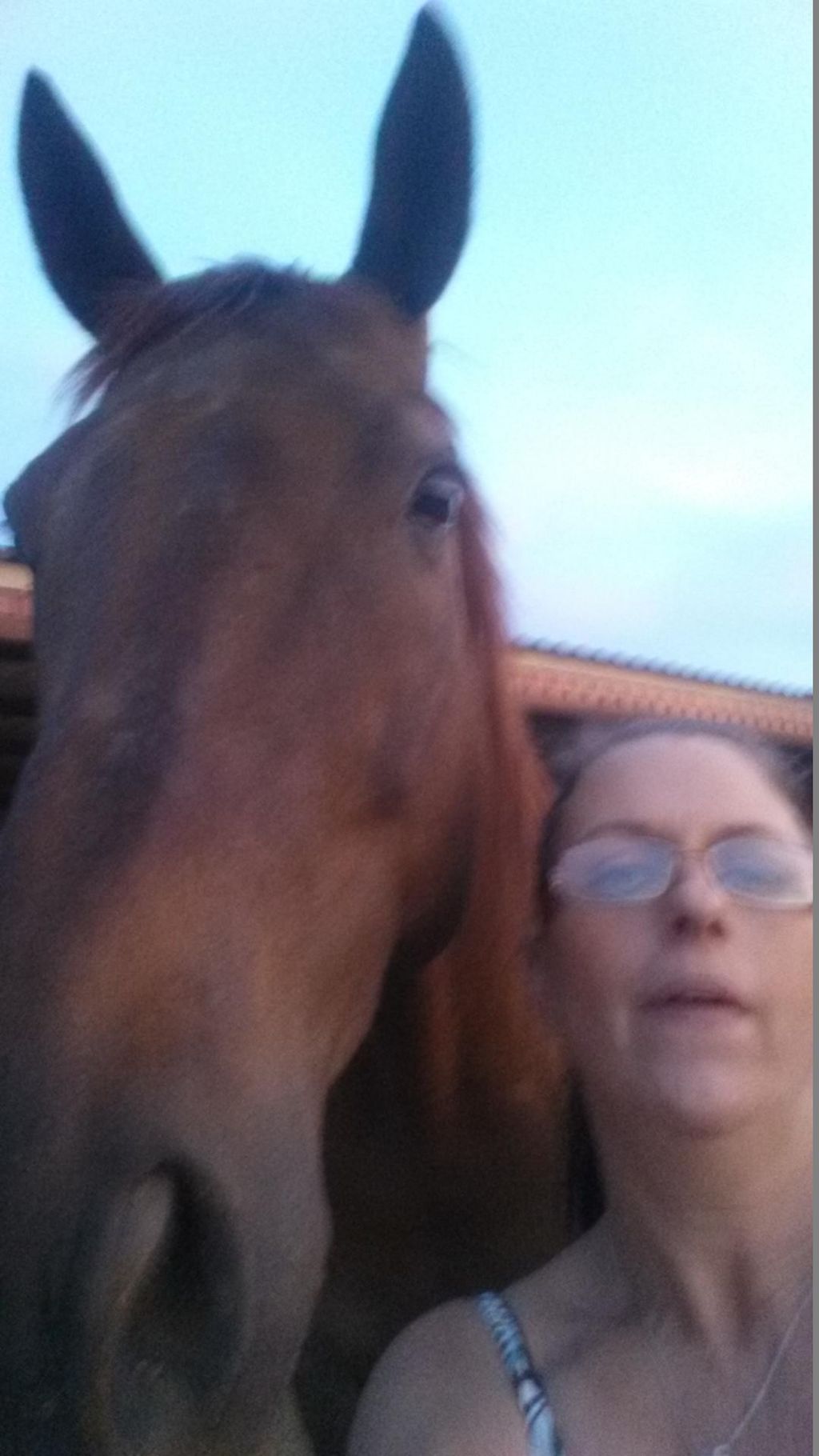 For the love of my animals...  This is my love and