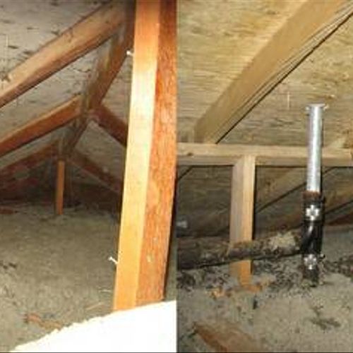 attic before and after mold treatment