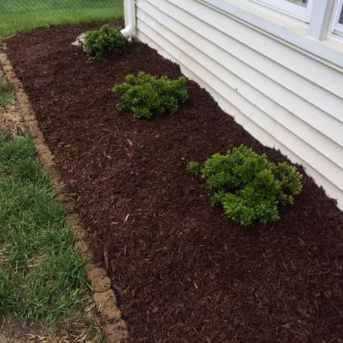 Mulch and Planting