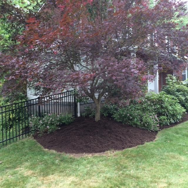 Landscaping completed 2015