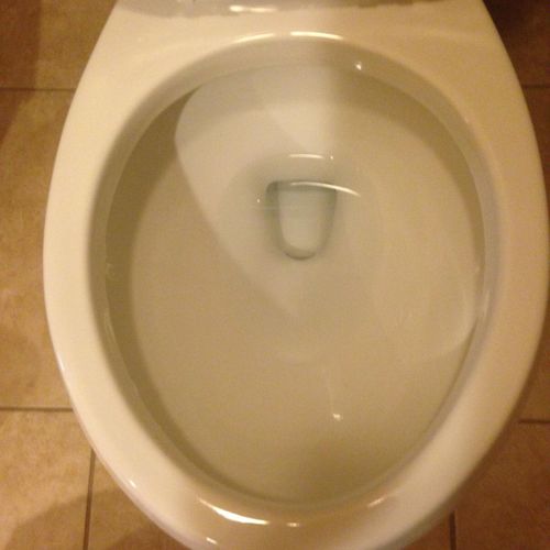 Toilet Bowl / After