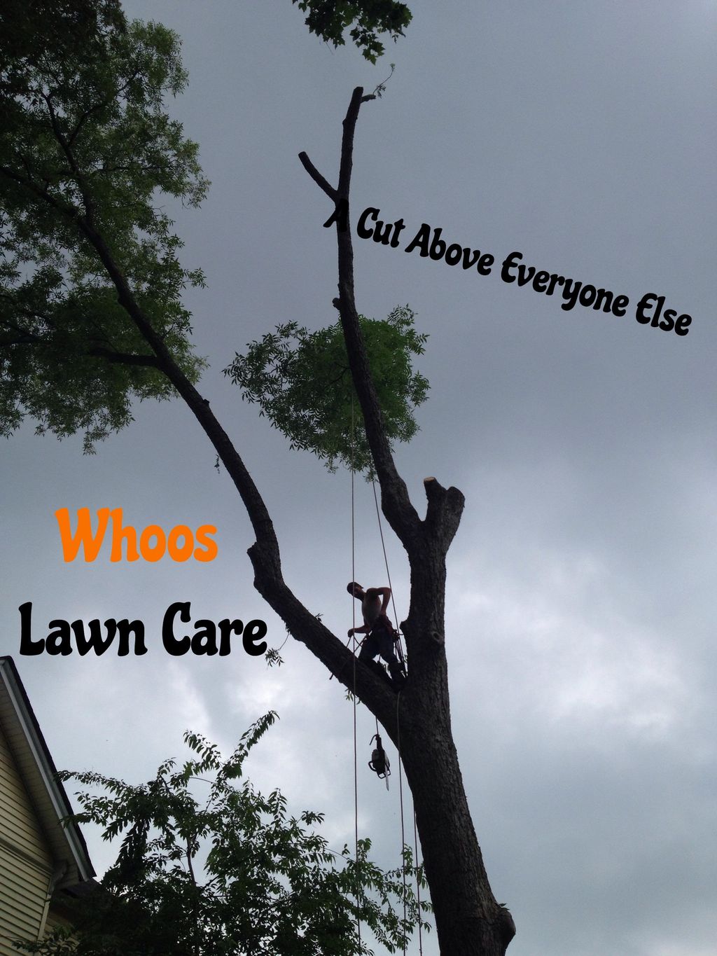 Whoos Lawn Care